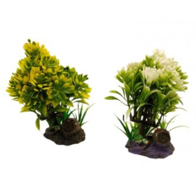 ΔΙΑΚΟΣΜΗΤΙΚΟ ΦΥΤΟ ΕΝΥΔΡΕΙΟΥ ΣΕ 2 ΧΡΩΜΑΤΑ 15Χ6.5CM